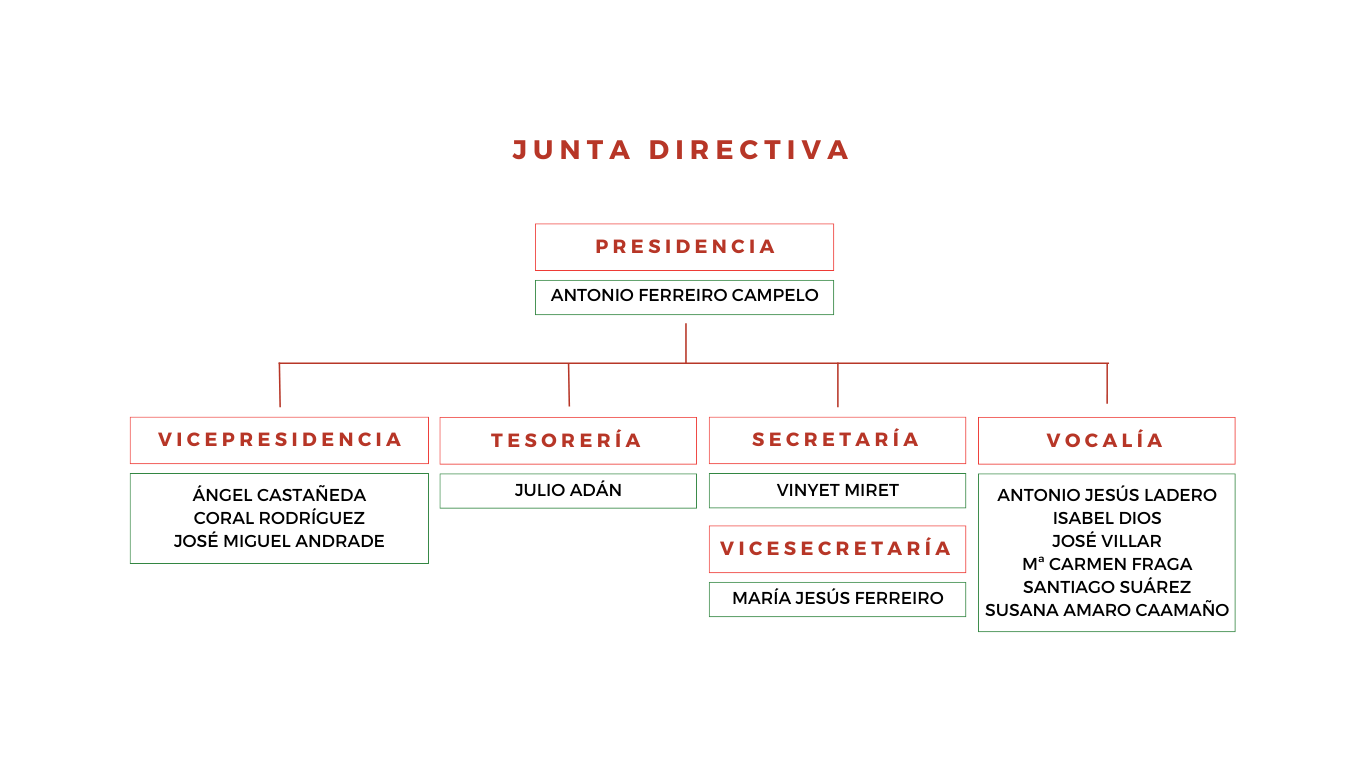Junta Directiva